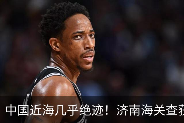 中国近海几乎绝迹！济南海关查获17只手镯，竟是由极危"国宝"制成
